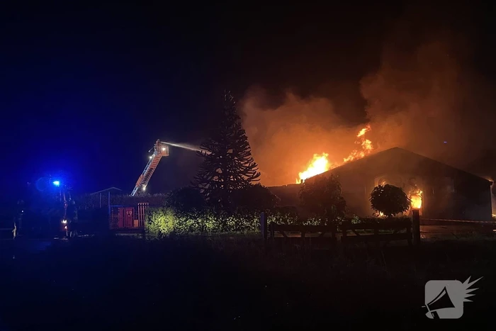 Kalven gered bij grote brand