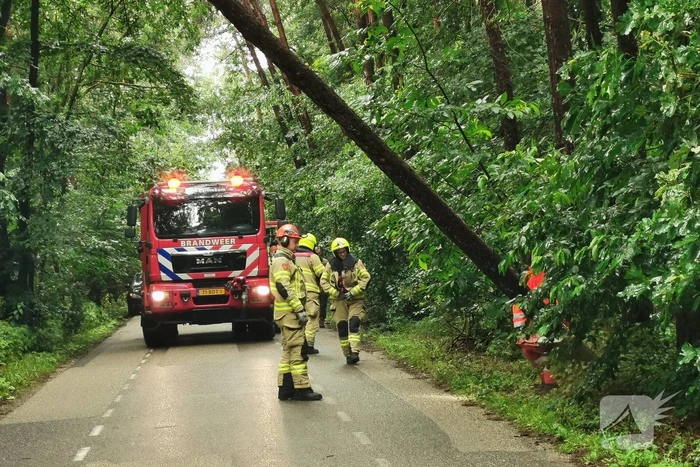 Brandweer haalt gevaarlijk hangende boom neer