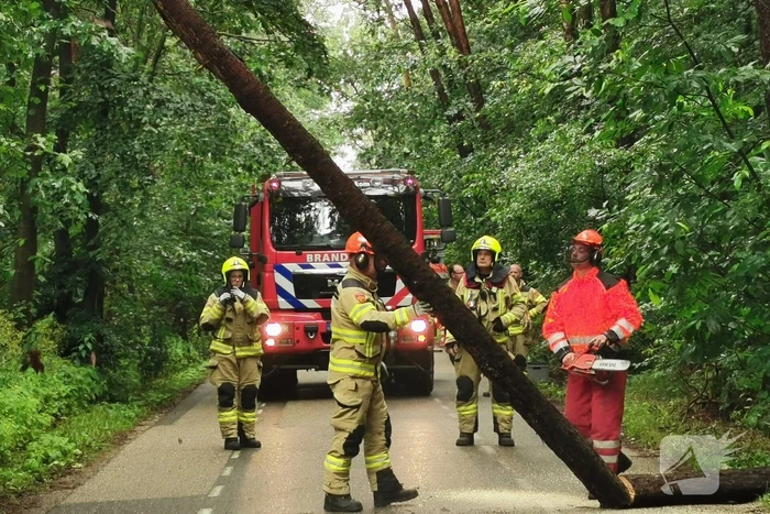 Brandweer haalt gevaarlijk hangende boom neer
