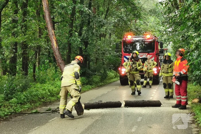 Brandweer haalt gevaarlijk hangende boom neer