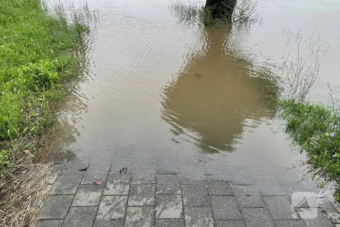 Veerdienst getremd door stijgende Maas