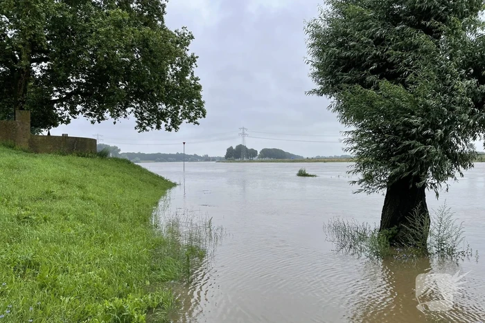 Veerdienst getremd door stijgende Maas