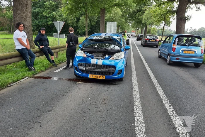 Veel schade bij kop-staart botsing