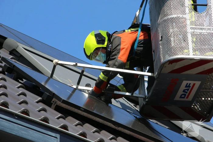 Jonge meeuw vast onder zonnepaneel
