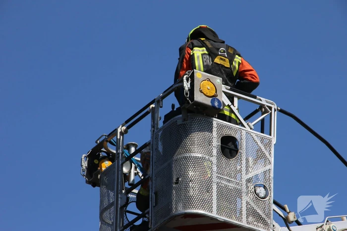 Jonge meeuw vast onder zonnepaneel