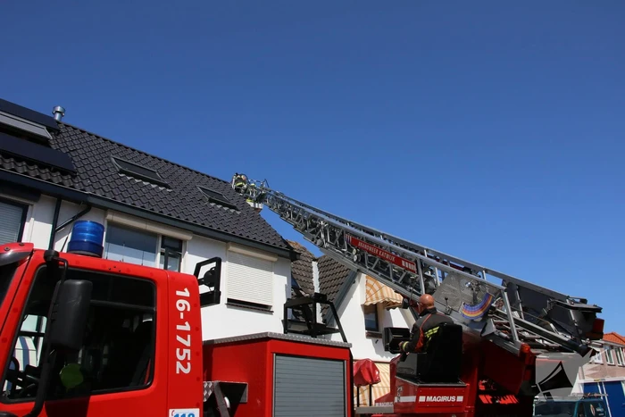 Jonge meeuw vast onder zonnepaneel