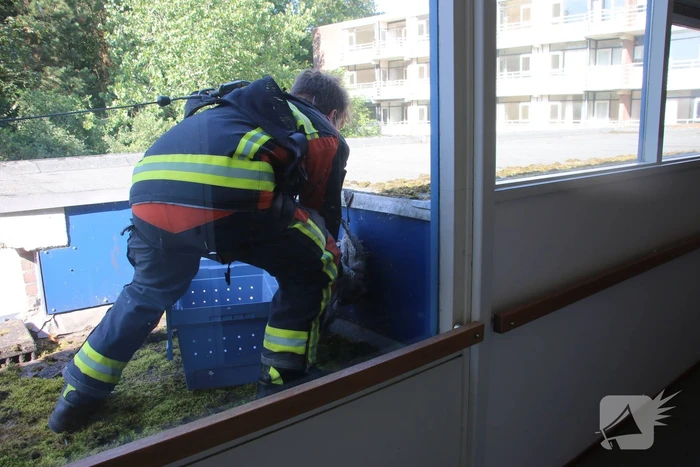 Meeuw gered door brandweer