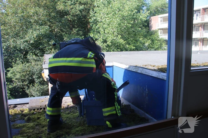 Meeuw gered door brandweer
