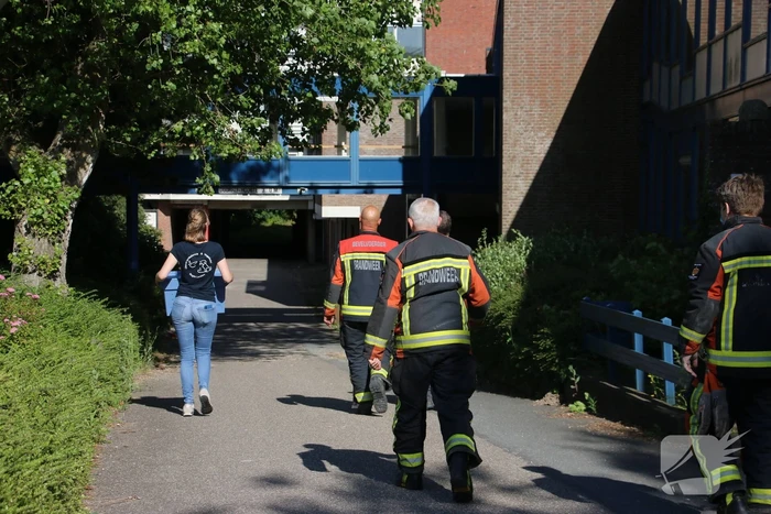Meeuw gered door brandweer
