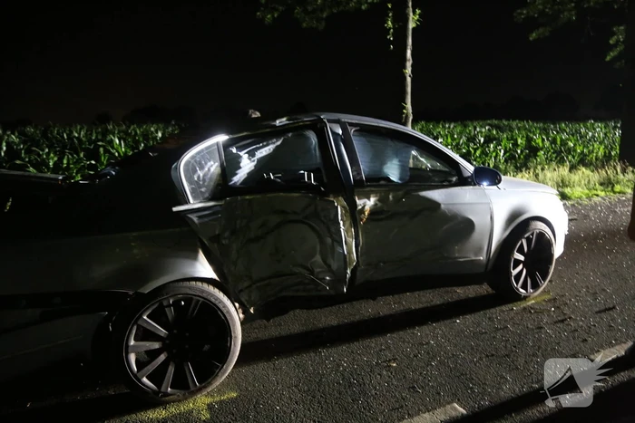 Meerdere gewonden bij botsing tegen boom