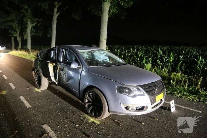 Meerdere gewonden bij botsing tegen boom