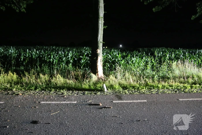 Meerdere gewonden bij botsing tegen boom