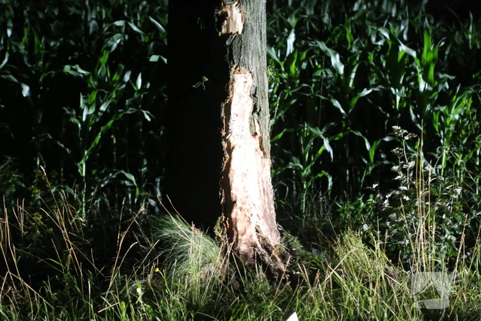 Meerdere gewonden bij botsing tegen boom