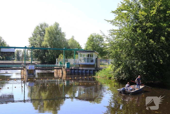 Waterschap haalt emmers met dode vissen uit Valleikanaal
