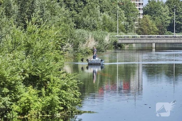 Waterschap haalt emmers met dode vissen uit Valleikanaal