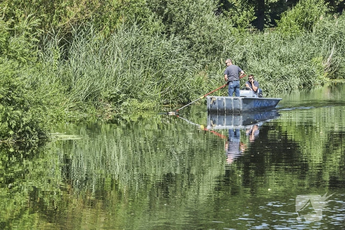 Waterschap haalt emmers met dode vissen uit Valleikanaal