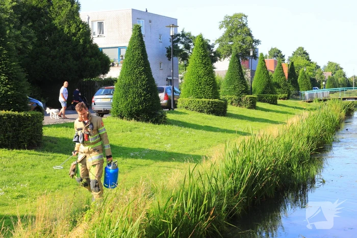 Barbecue met gasfles vat vlam