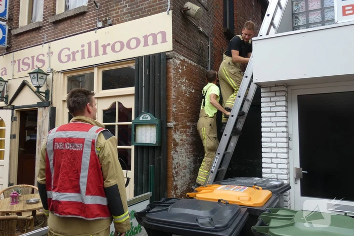 Kitten kiest het hazenpad bij reddingspoging