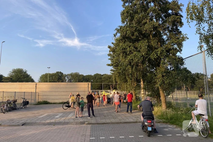nieuws zwaluwenlaan vlaardingen
