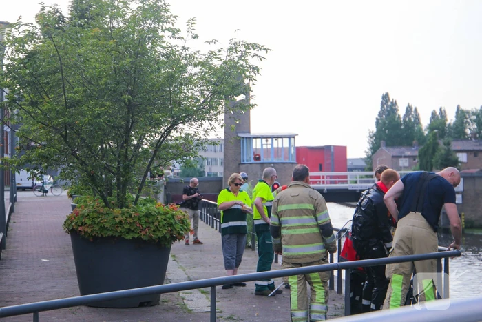 Baby meeuw komt in problemen