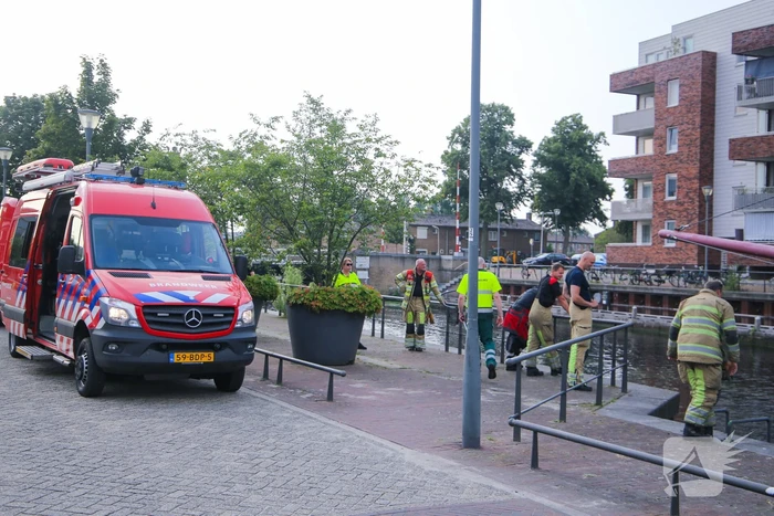 Baby meeuw komt in problemen