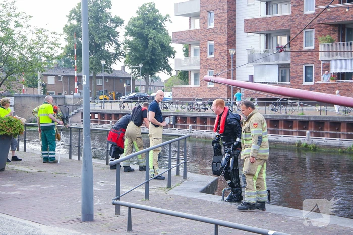 Baby meeuw komt in problemen