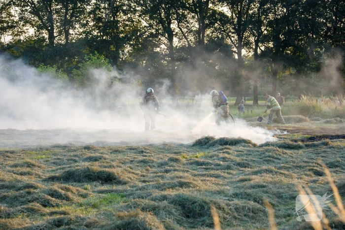 Enorme rookwolken door brand in gemaaid gras