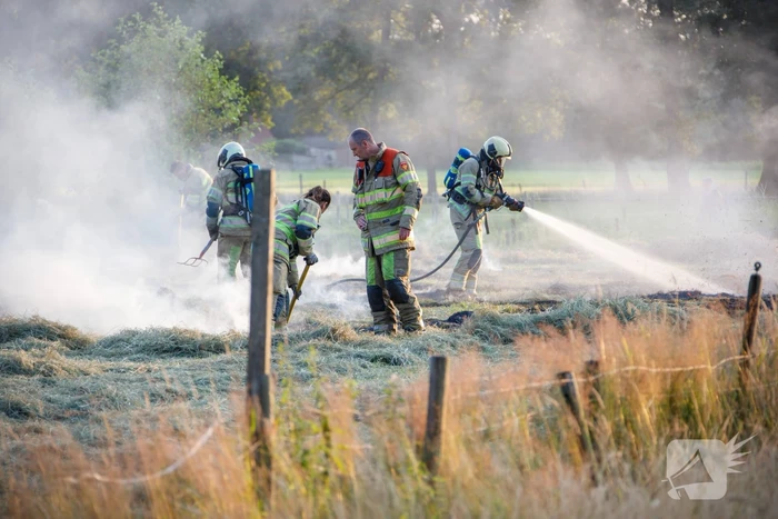 Enorme rookwolken door brand in gemaaid gras