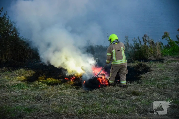 Jongeren steken riet in brand