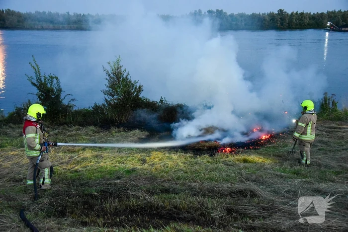 Jongeren steken riet in brand