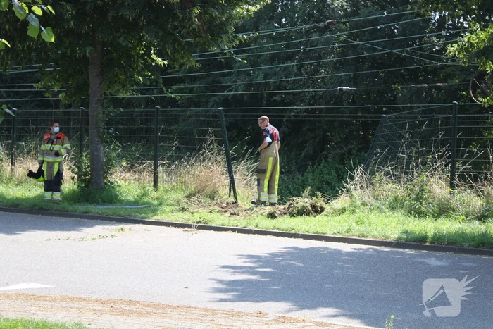 Bestelbus komt tot stilstand gekomen op het spoor
