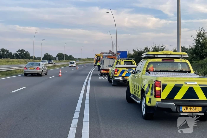 Auto komt tot stilstand in struikgewas