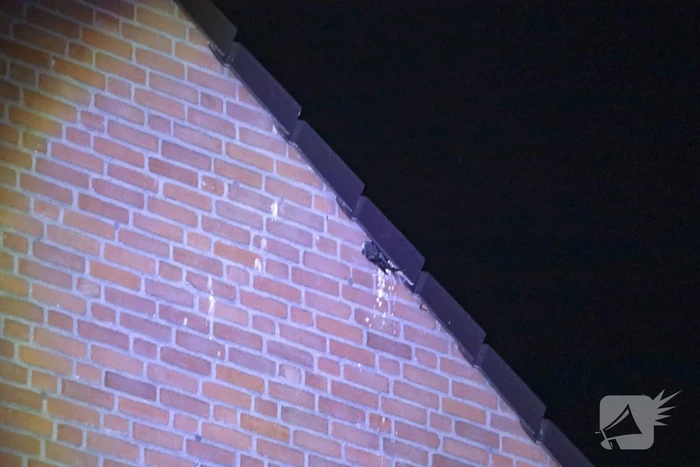 Brandweer bevrijdt bekneld zittende vogel