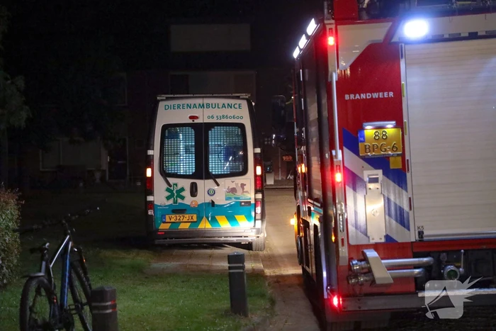 Brandweer bevrijdt bekneld zittende vogel