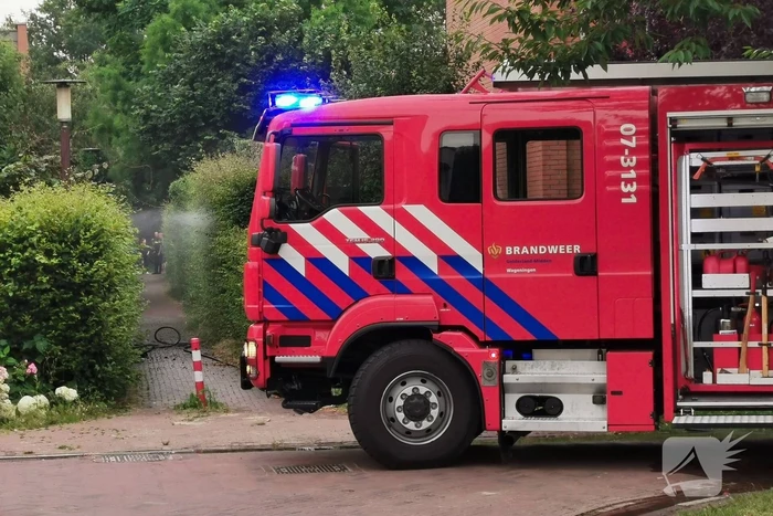 Overkapping vat vlam door barbecue