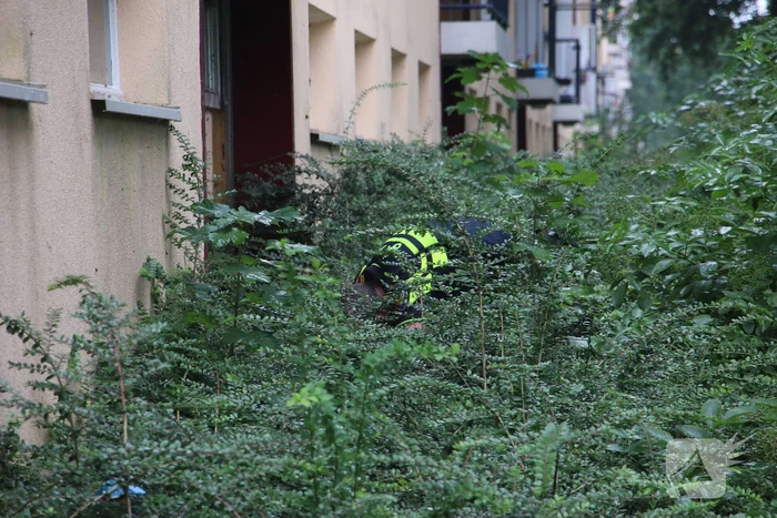 Steekincident in flatwoning