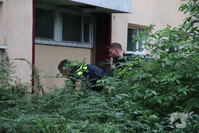 Steekincident in flatwoning