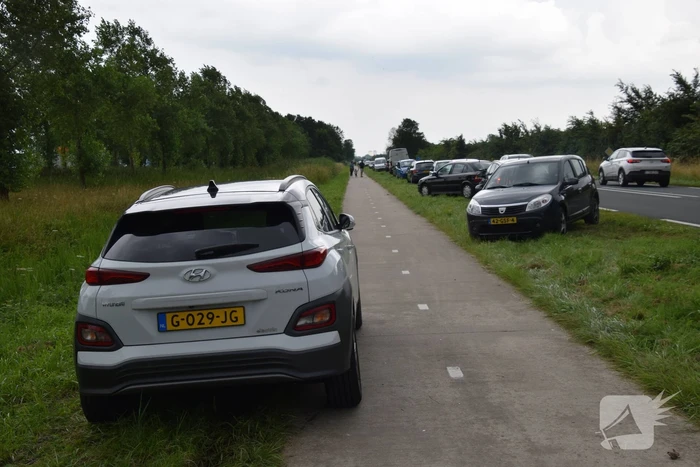 Aangetroffen dode vinvis trekt veel bekijks