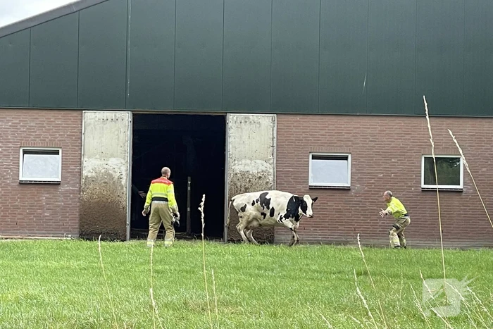 nieuws dieperskant erp