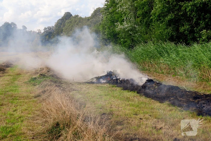 Brand in gemaaid gras