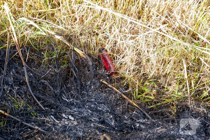 Brand in gemaaid gras