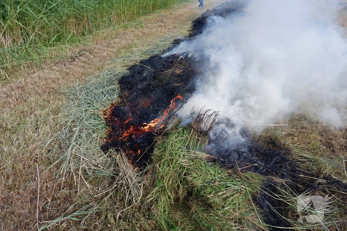 Brand in gemaaid gras