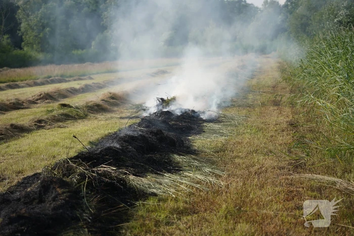 Brand in gemaaid gras