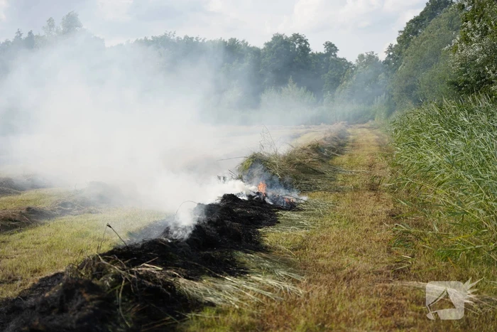 Brand in gemaaid gras