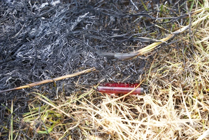 Brand in gemaaid gras