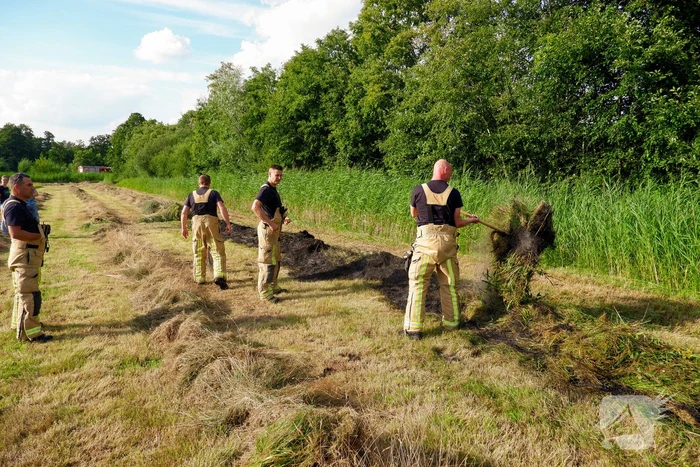Brand in gemaaid gras