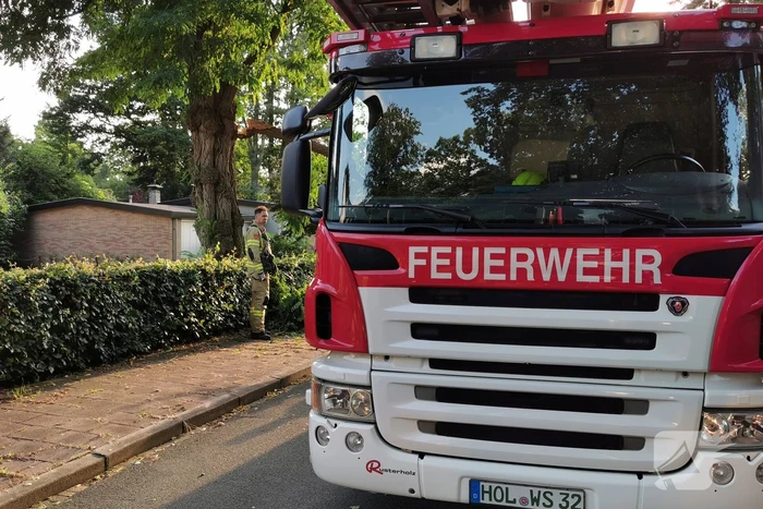 natuur quarles van uffordlaan bennekom