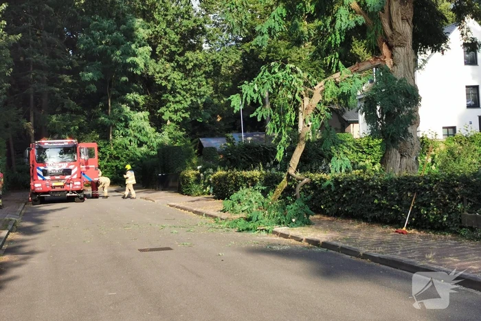 Brandweer verwijdert twee gevaarlijk hangende takken