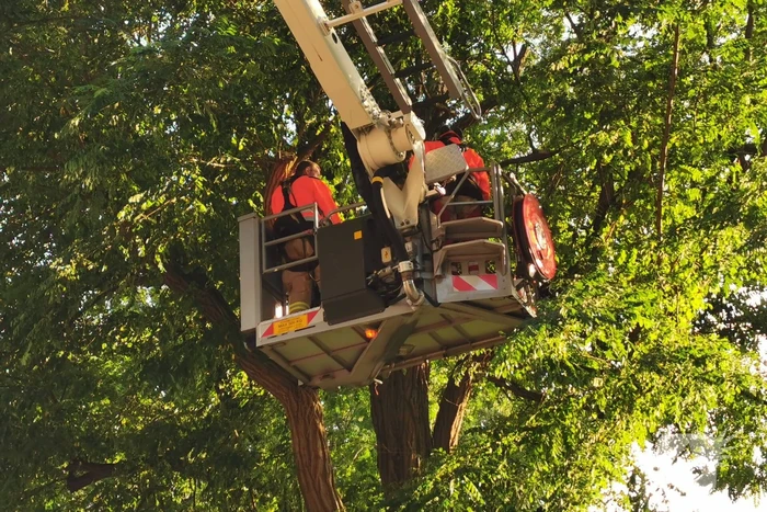 Brandweer verwijdert twee gevaarlijk hangende takken