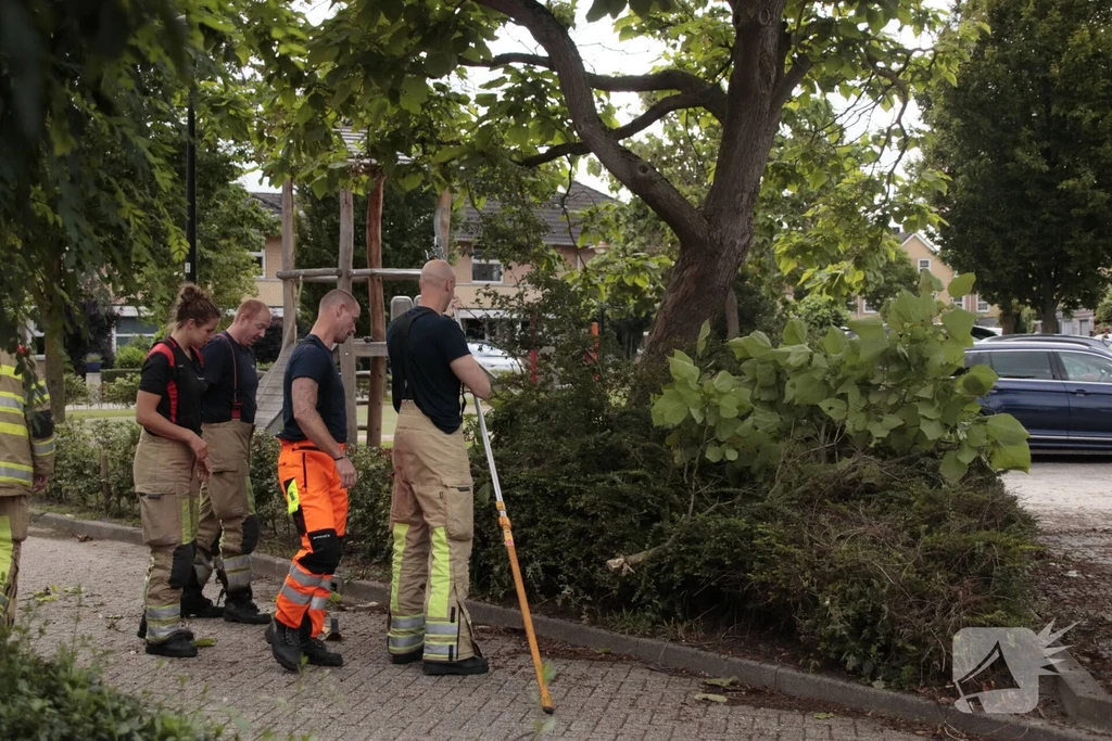 Zeepkruid 112 nieuws Amersfoort 